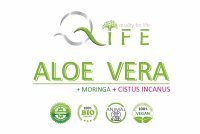 Aloe Vera Broschüre DIN A5 "Personalisiert"